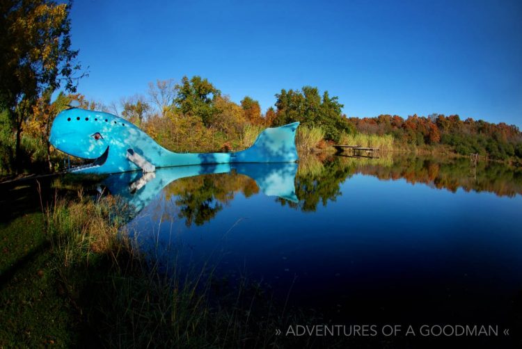 The Catoosa Blue Whale — an icon on Route 66 in Oklahoma