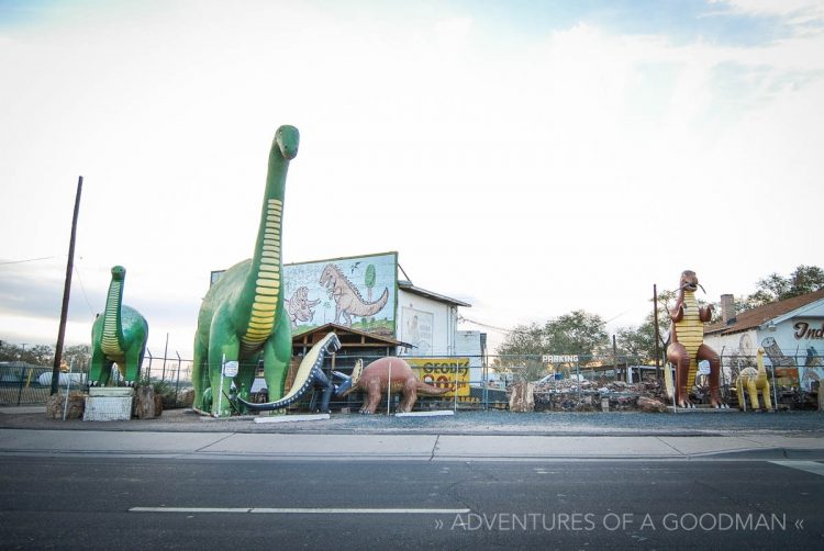 Dinosaurs live at the Indian Rock Shop — Holbrook, Arizona