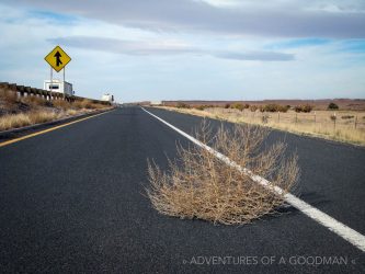 A tumbleweed on Route 66 in New Mexico