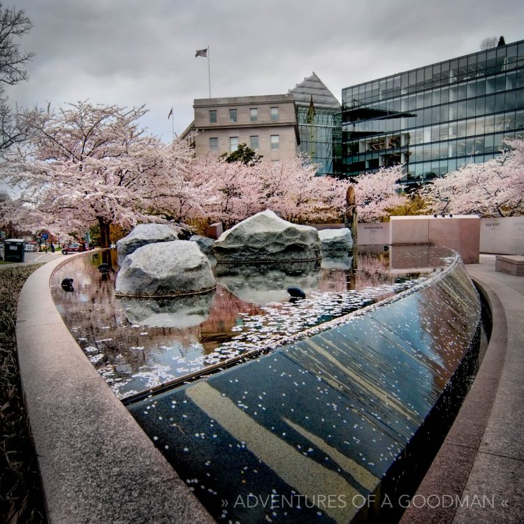 Cherry blossoms line the Japanese Memorial to Patriotism in World War II
