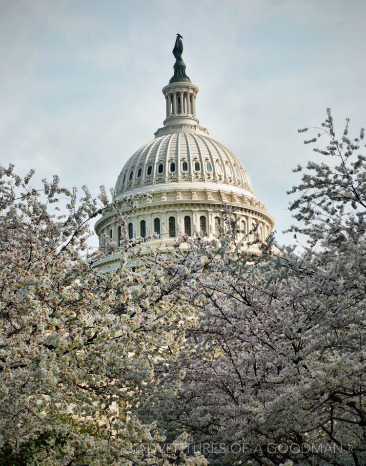 The United States Capitol Building in Washington, DC