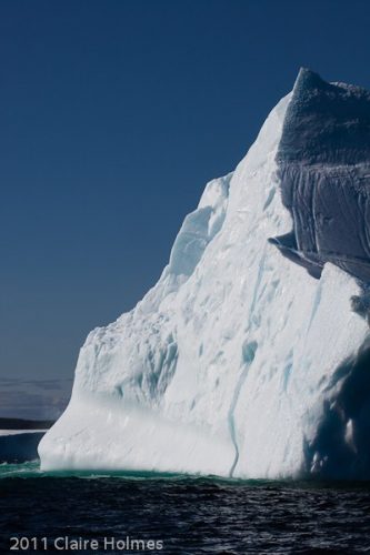 Iceberg Alley