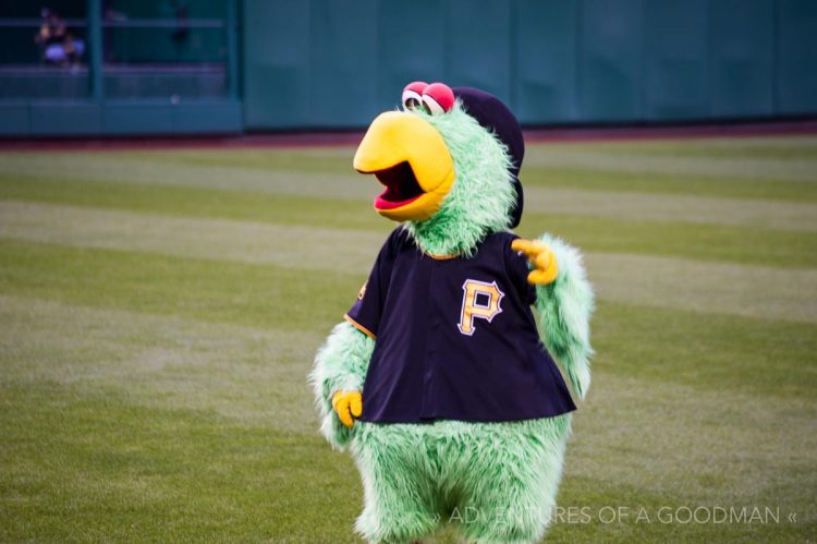 The Pirate Parrot on the field of PNC Park in Pittsburgh