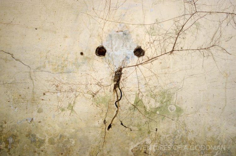 Cracks, wires and branches form a face in the wall at the Beatles Ashram