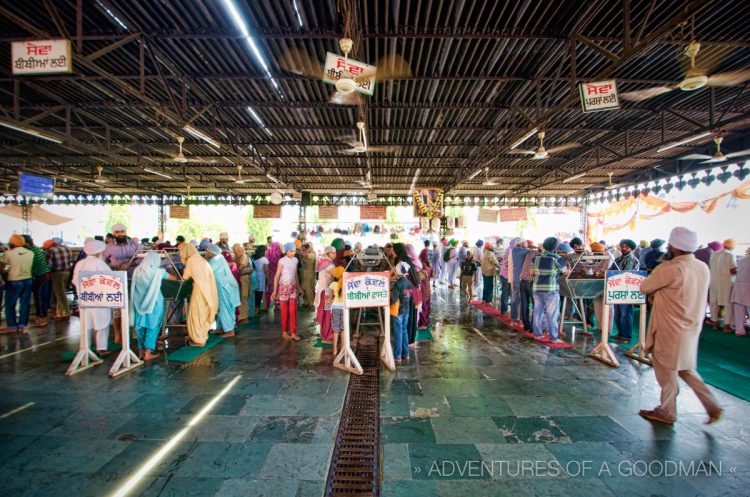 Washing dishes at the Golden Temple free kitchen in Amritsar