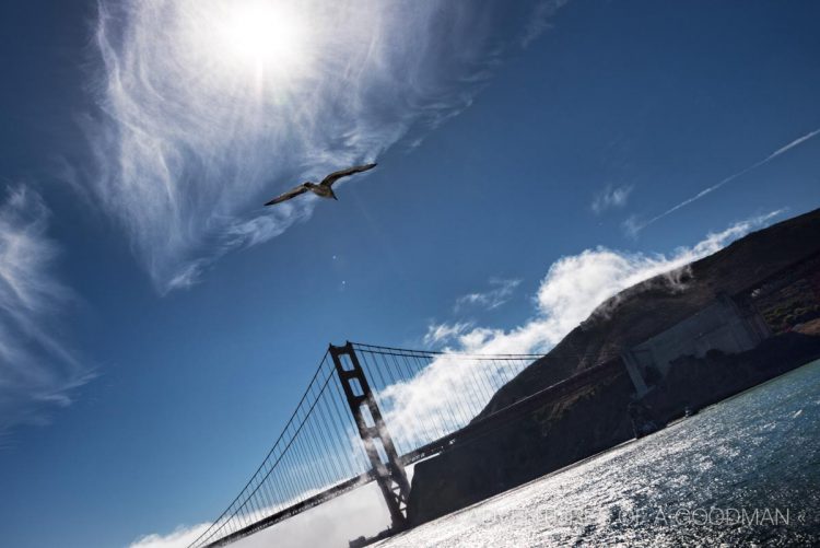 The Golden Gate Bridge, as seen from Fort Baker in Marin County - San Francisco