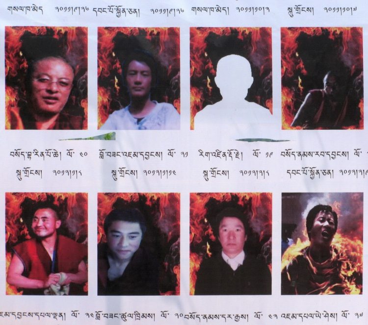 Eight (of thousands) monks who have given their lives via self-immolation to bring about greater awareness of the injustices taking place in Tibet by China