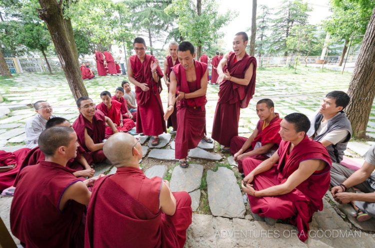 A lively debate among monks at the Dalai Lama complex, complete with hand clapping, aggressive motions and smiles