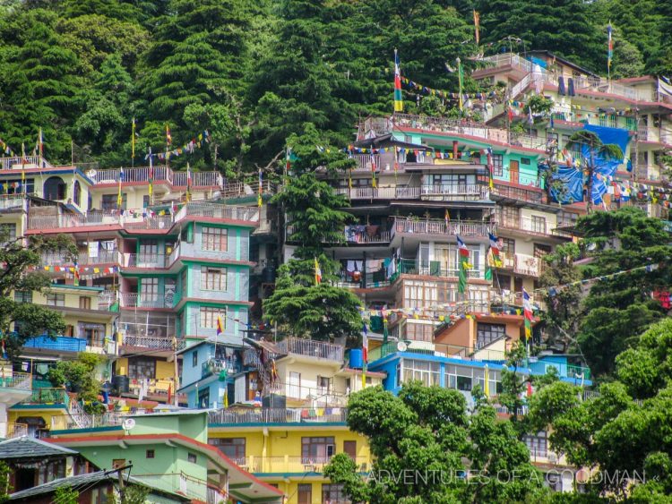 A wall of homes in the McLeod Ganj skyline