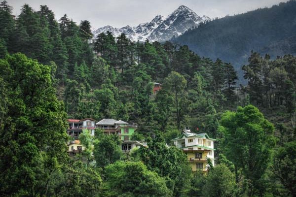 Homes and guesthouses are nestled between the forest and below the Himalayas in McLeod Ganj, India