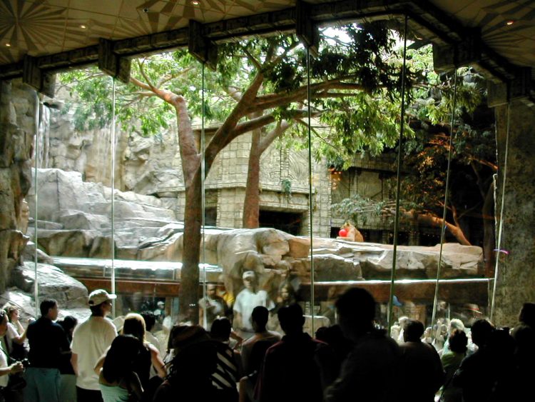 In Las Vegas, there are even zoos inside some casinos!