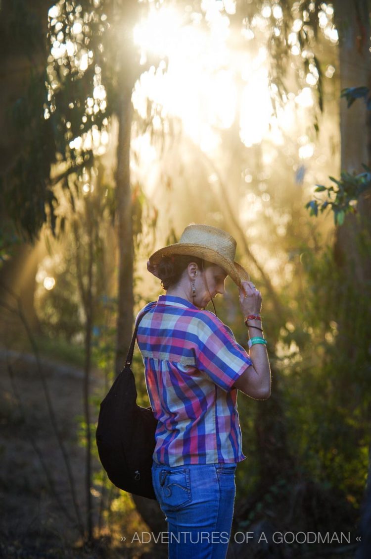 Carrie beneath the redwood trees of San Francisco's Golden Gate Park