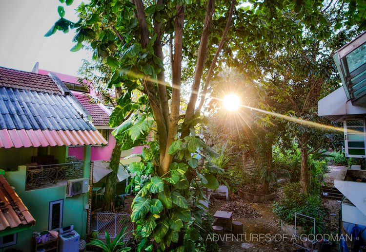 A sunset view of our communal backyard