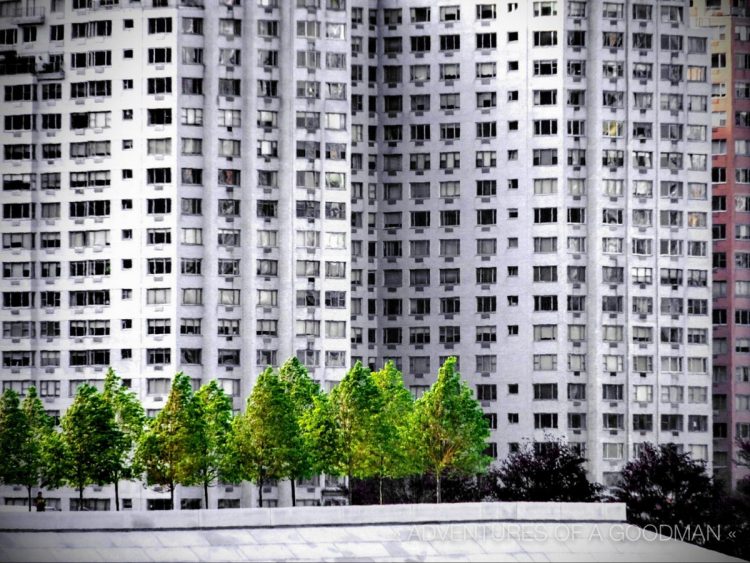 A new monument to FDR has gone up on the Southern tip of Roosevelt Island. This is the view of the Four Freedoms Park from Long Island City in Queens