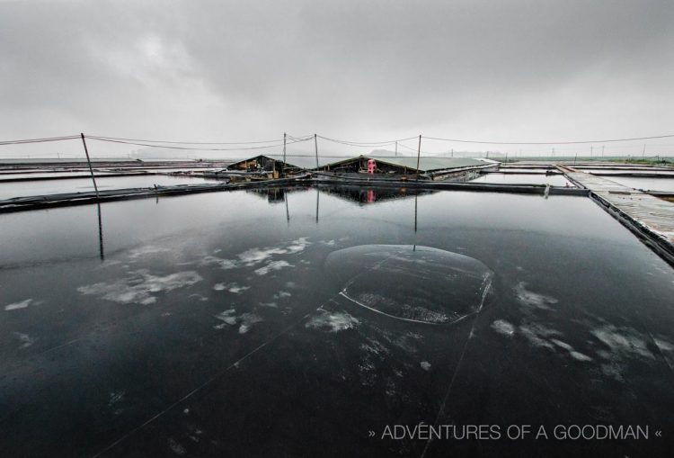 The salt farms of Jeung-Do, South Korea