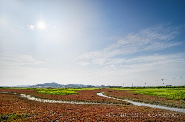 The salt flats of Jeung Do in the Jeonnam Province of South Korea