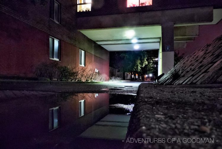 Puddles behind Westview on Roosevelt Island, NYC