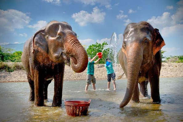 Giving an elephant a bath at Elephant Nature Park in Chiang Mai, Thailand