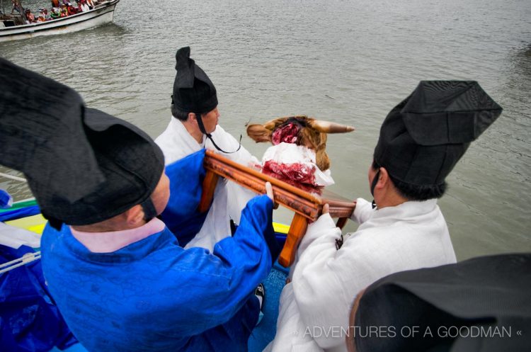 Shaman holy men release a severed cow's head into the ocean as a sacrifice to the Dragon King