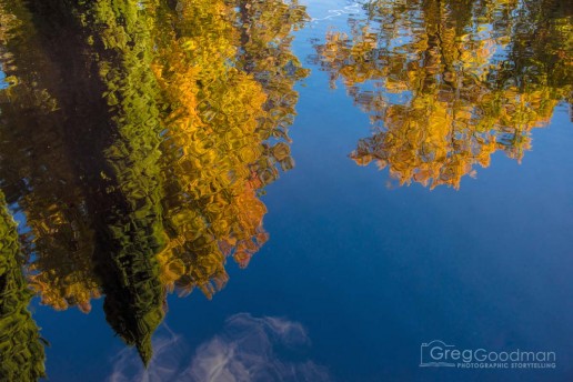 Fall foliage was in full effect during our November visit to Nevada City