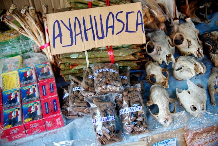 Ayahuasca tourism is rampant in South America. You can buy vines and other medicinal plants in Iquitos' Belen market.