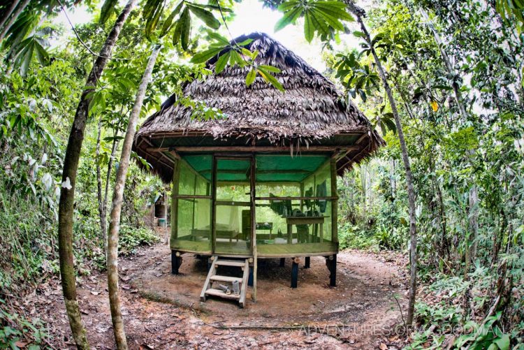 My home in the Amazon Jungle.