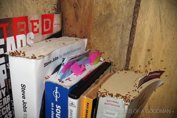 The termites were especially interested in my books. Later that morning, I sealed p all my non-clothing stuff for the remainder of the retreat.