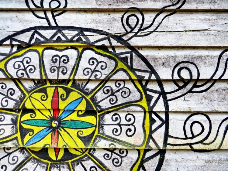 An Ayahuasca flower drawn on the maloka wall at the Paititi Institute in Iquitos, Peru.