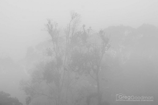 Our scenic view from the Pha Trom Chai Viewpoint.