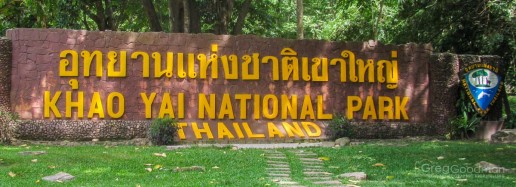 Welcome to Khao Yai National Park.