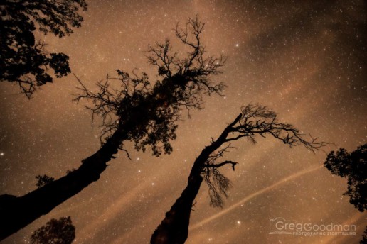 The stars above Harbin Hot Springs in California, USA