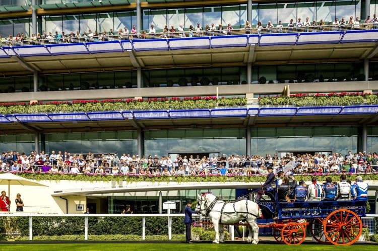 Photo courtesy of the Ascot Racecourse