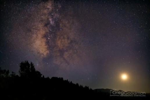 The Milky Way on a full moon night above Armstrong Woods Park in Guerneville, California