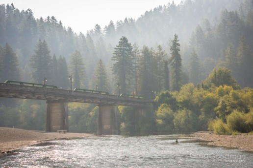 The Russian River, surrounded by redwood trees, flows through Monte Rio on its way to the Pacific Ocean