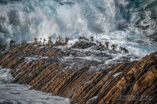 The shores below the Point Arena Lighthouse in Mendocino County, California