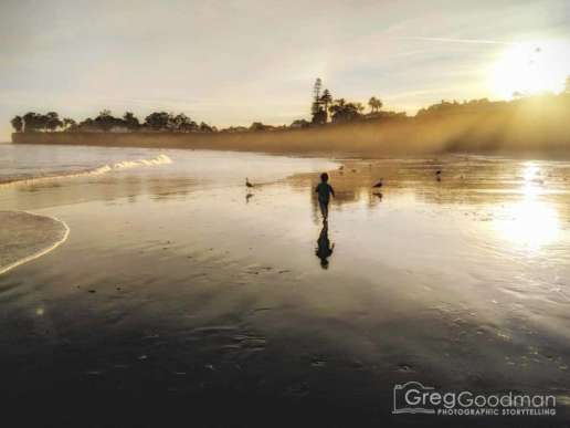 Bodhi runs on a beach in Santa Cruz