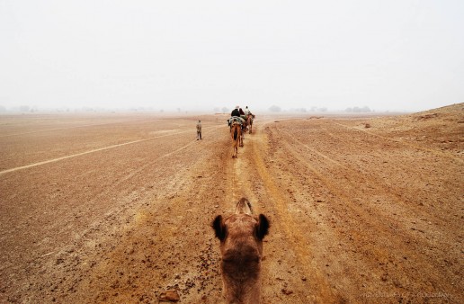 A first-person view during a camel safari in the Jaisalmer desert of India