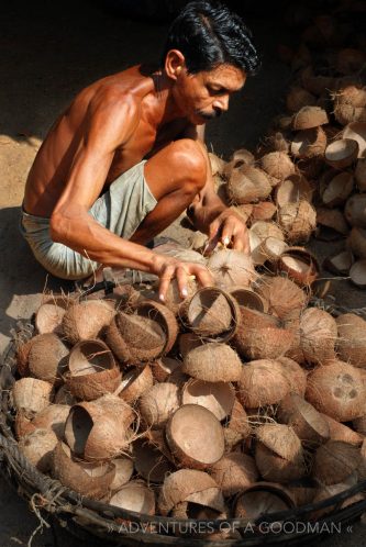 A coconut worker in Kerala, India