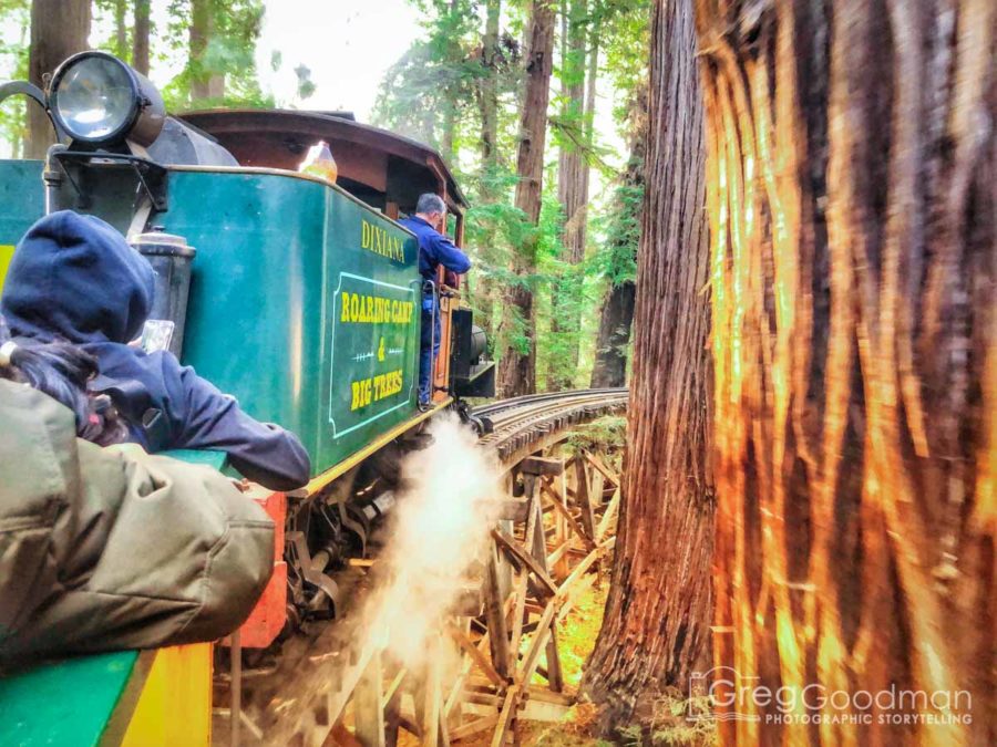 The Dixiana steam engine takes a curve at Roaring Camp in Felton, CA