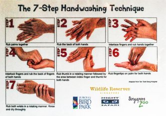 Singapore hand washing sign