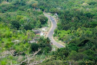 Jungle road Sri Lanka