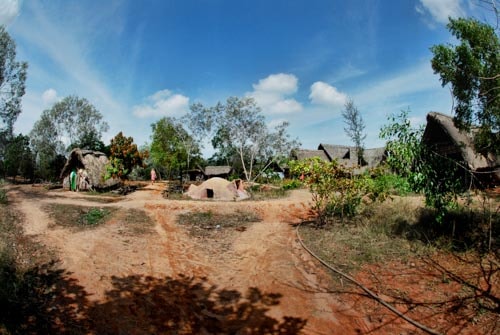 Sadhana Forest in Auroville, India