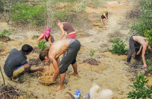 Manual labor at Sadhana Forest, Auroville, India