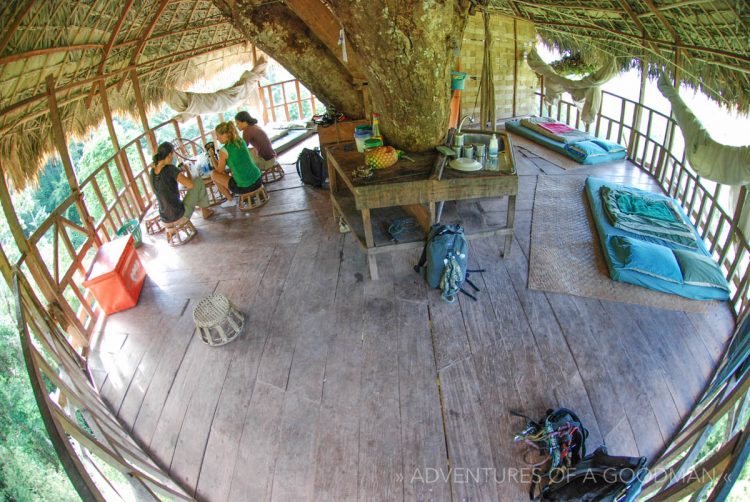 Inside a treehouse in the Gibbon Experience, Laos