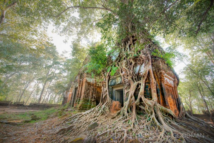 The ruins of Prasat Pram at Koh Ker, Cambodia