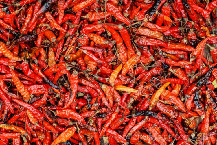 Red hot chili peppers for sale in Laos