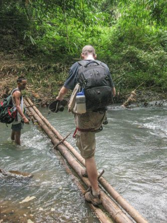 Crossing a bamboo log bridge in the Gibbon Experience