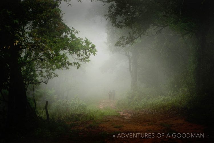 A foggy morning walk through Northern Thailand