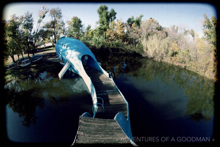 The Catoosa Blue Whale — an icon on Route 66 in Oklahoma