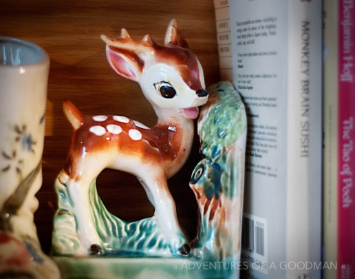 A deer hard at work making sure that mom's books stay upright